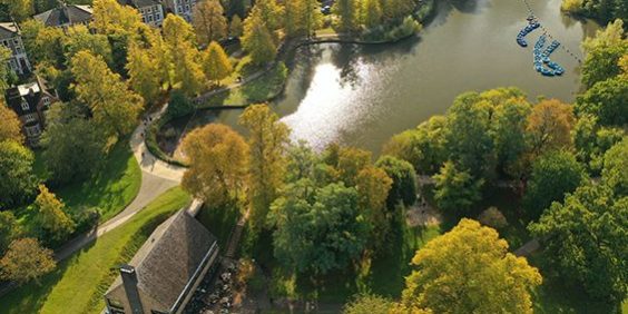 regeneration-plan-crystal-palace-park Regeneration Plan - Crystal Palace Park